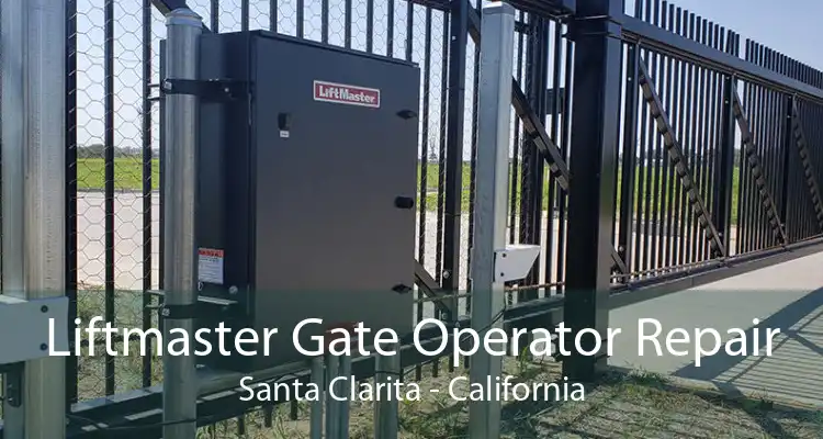 Liftmaster Gate Operator Repair Santa Clarita - California